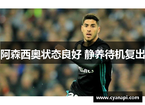 阿森西奥状态良好 静养待机复出